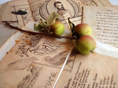 BRINDO POR EL NIRVANA