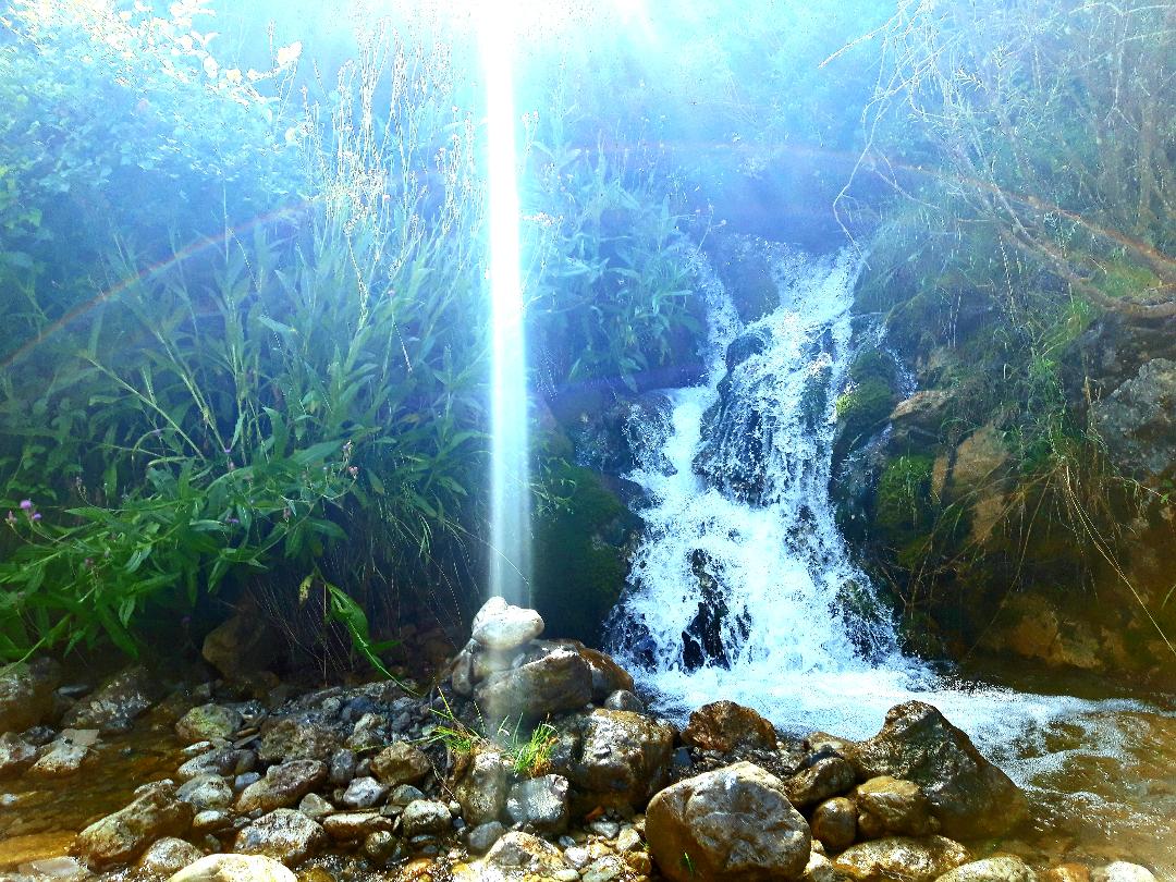 METTA BHAVANA EQUINOX