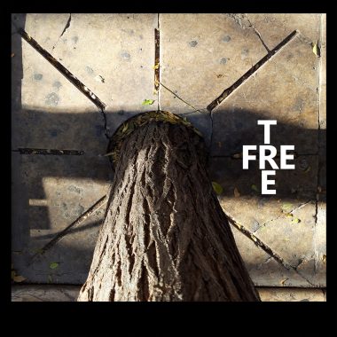 FREE TREE 1