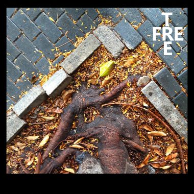 Eva y el ficus Free tree