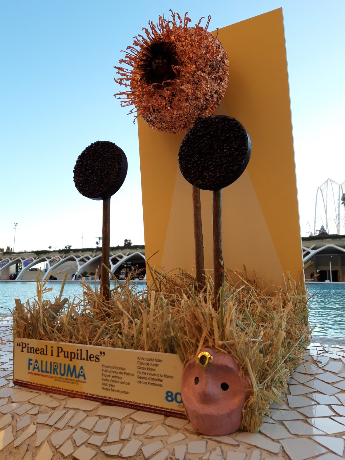 Pineal i Pupil·les FALLIRUMA