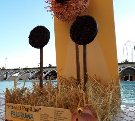 Pineal i Pupil·les FALLIRUMA