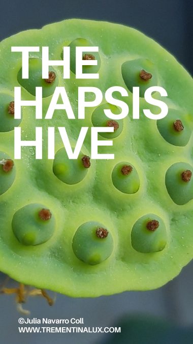 THE HAPSIS HIVE